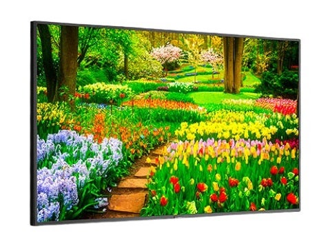 Nec M491 49inch LED Monitor